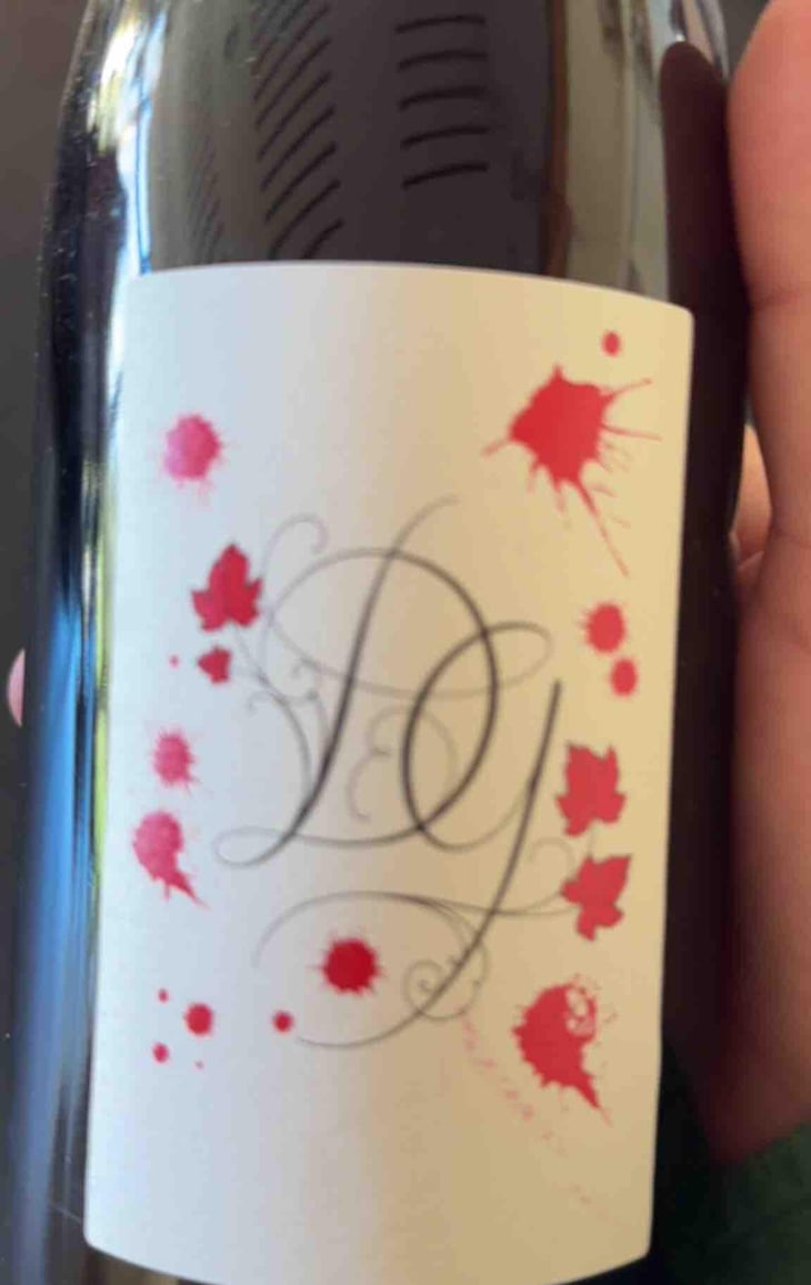 Poulsard - Damien Guadagnolo - Damien Guadagnolo -2019