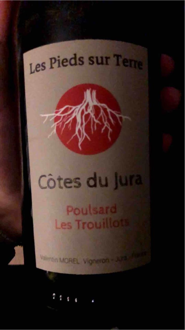 Poulsard Les Trouillots - Les Pieds Sur Terre - Valentin Morel 