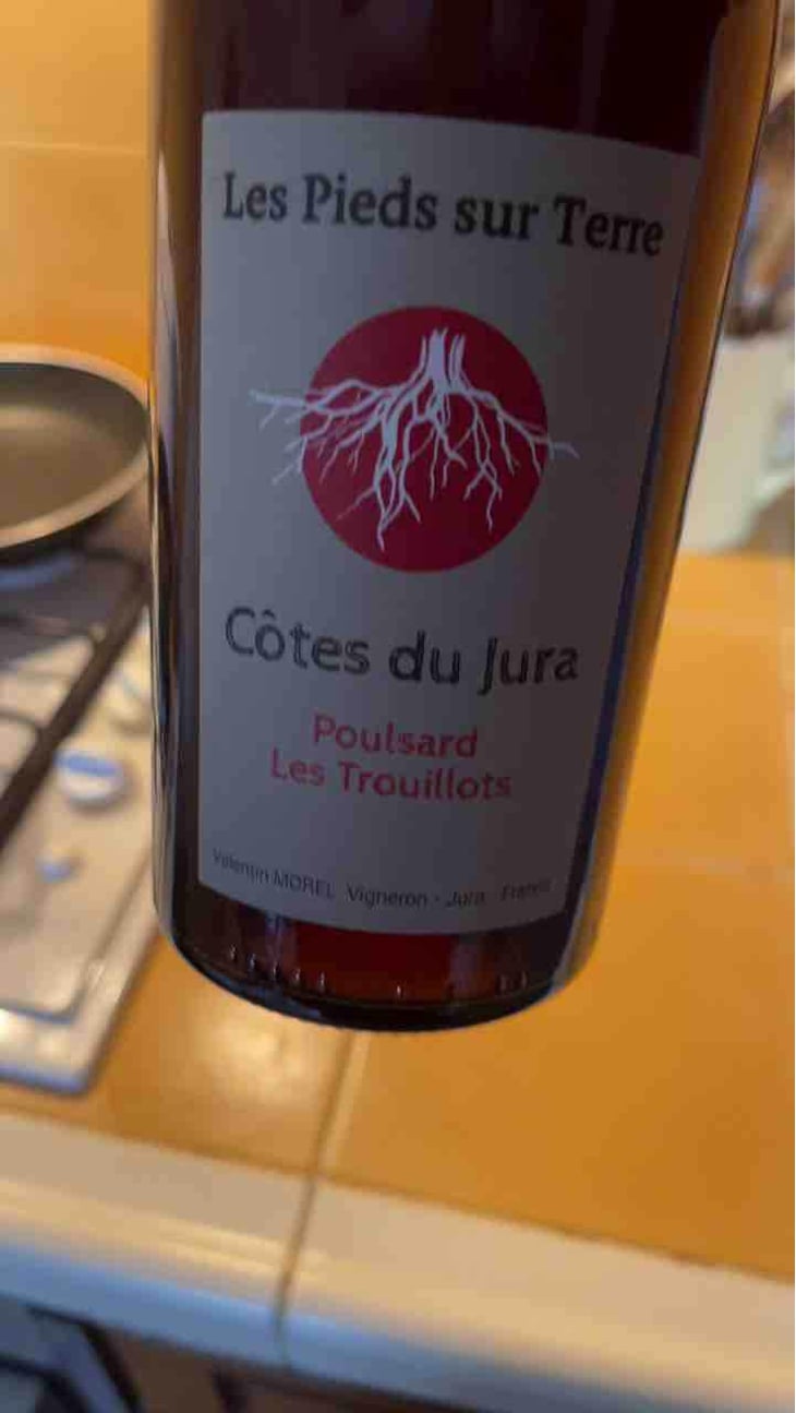 Poulsard Les Trouillots - Les Pieds Sur Terre - Valentin Morel 
