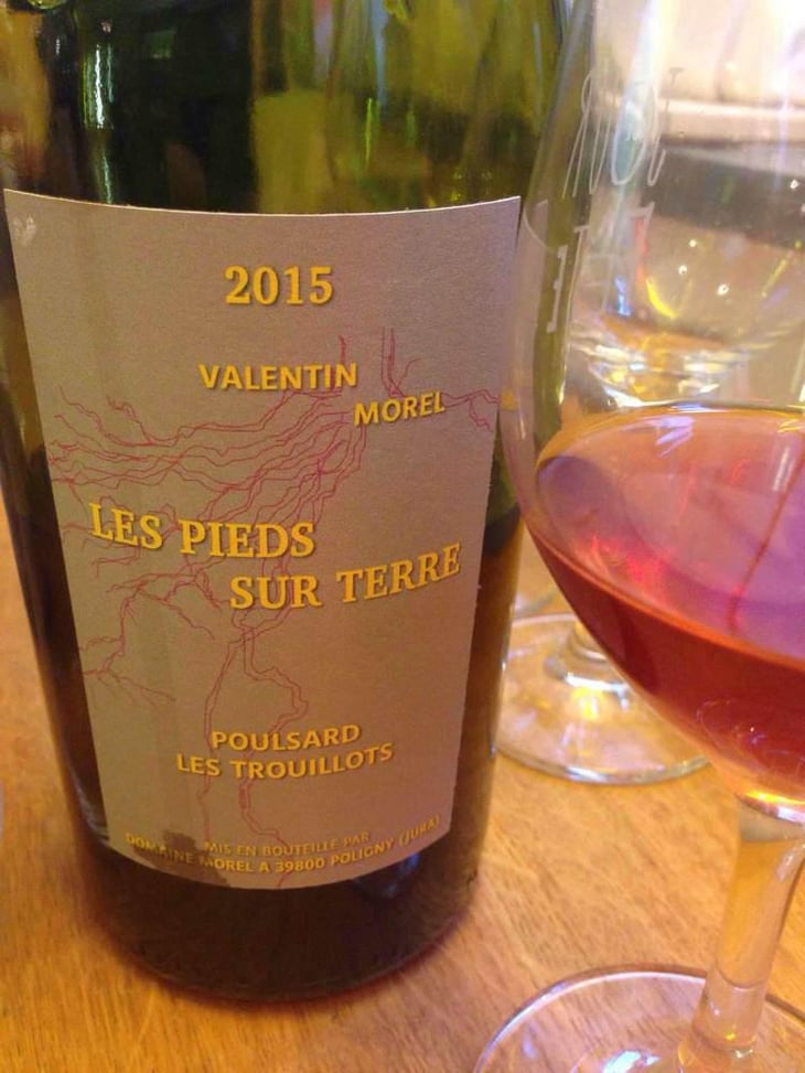Poulsard Les Trouillots - Les Pieds Sur Terre - Valentin Morel 