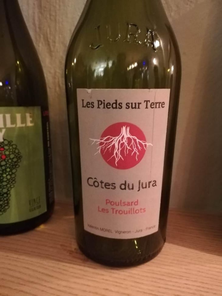 Poulsard Les Trouillots - Les Pieds Sur Terre - Valentin Morel 