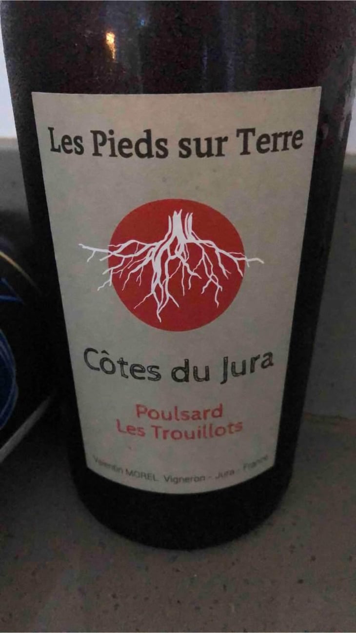 Poulsard Les Trouillots - Les Pieds Sur Terre - Valentin Morel 