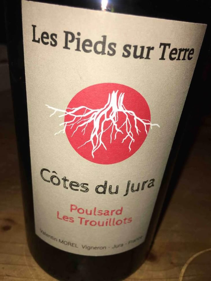 Poulsard Les Trouillots - Les Pieds Sur Terre - Valentin Morel 
