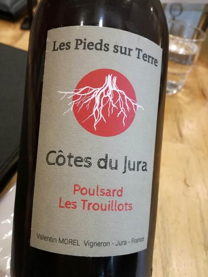 Poulsard Les Trouillots - Les Pieds Sur Terre - Valentin Morel 