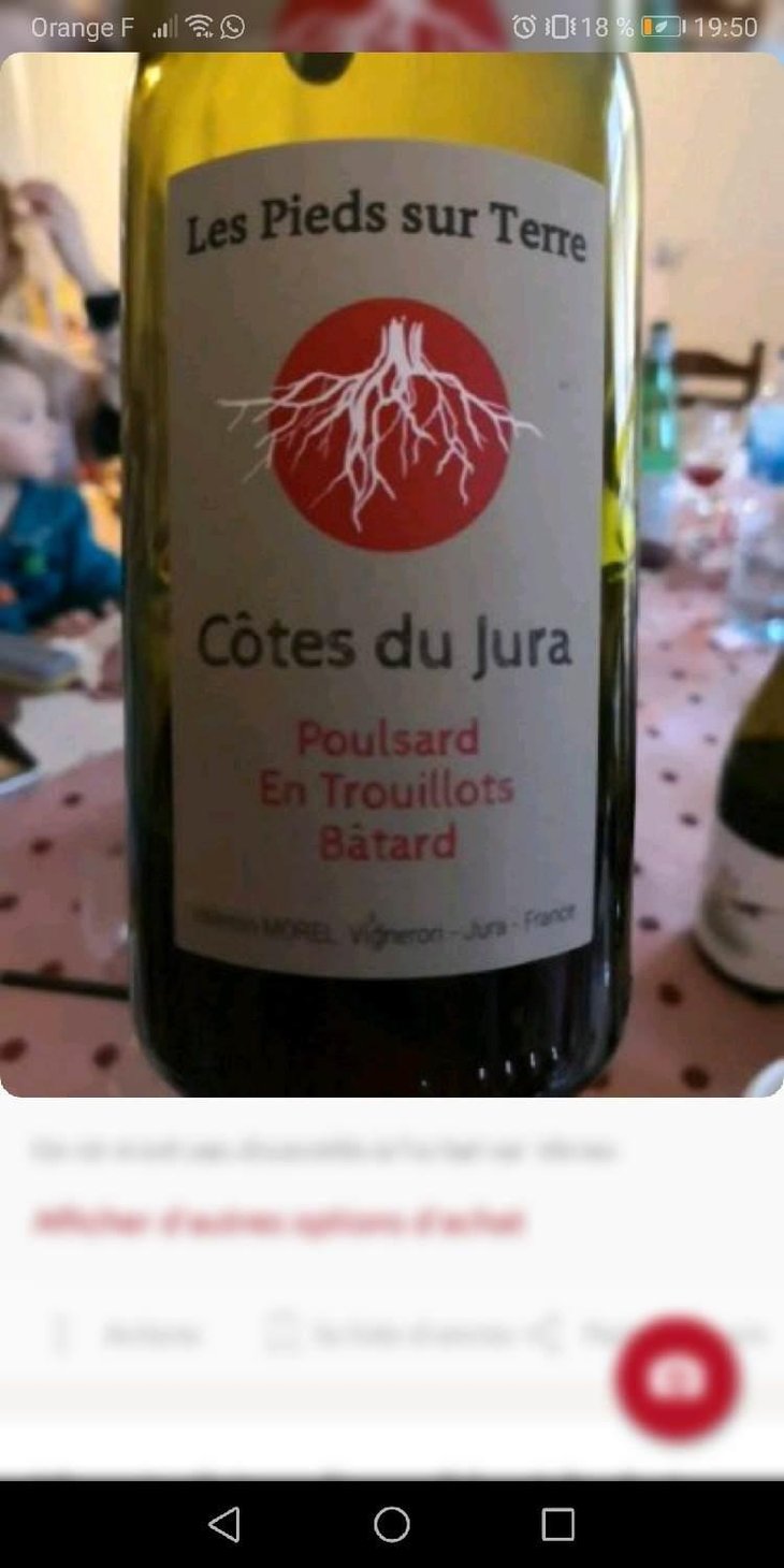 Poulsard Les Trouillots - Les Pieds Sur Terre - Valentin Morel 