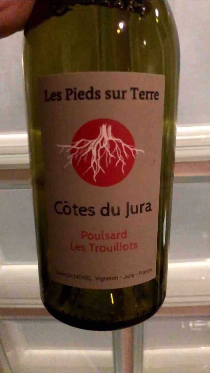 Poulsard Les Trouillots - Les Pieds Sur Terre - Valentin Morel 