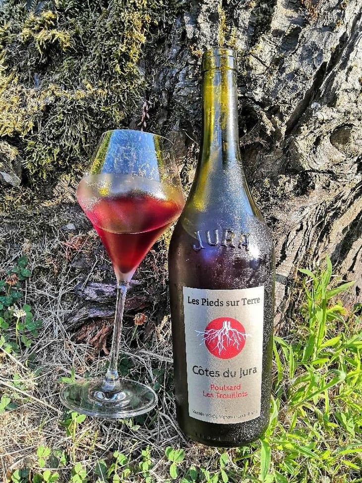 Poulsard Les Trouillots - Les Pieds Sur Terre - Valentin Morel 