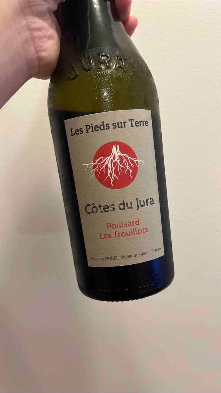 Poulsard Les Trouillots - Les Pieds Sur Terre - Valentin Morel 
