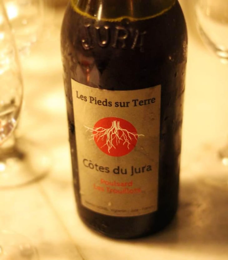 Poulsard Les Trouillots - Les Pieds Sur Terre - Valentin Morel 