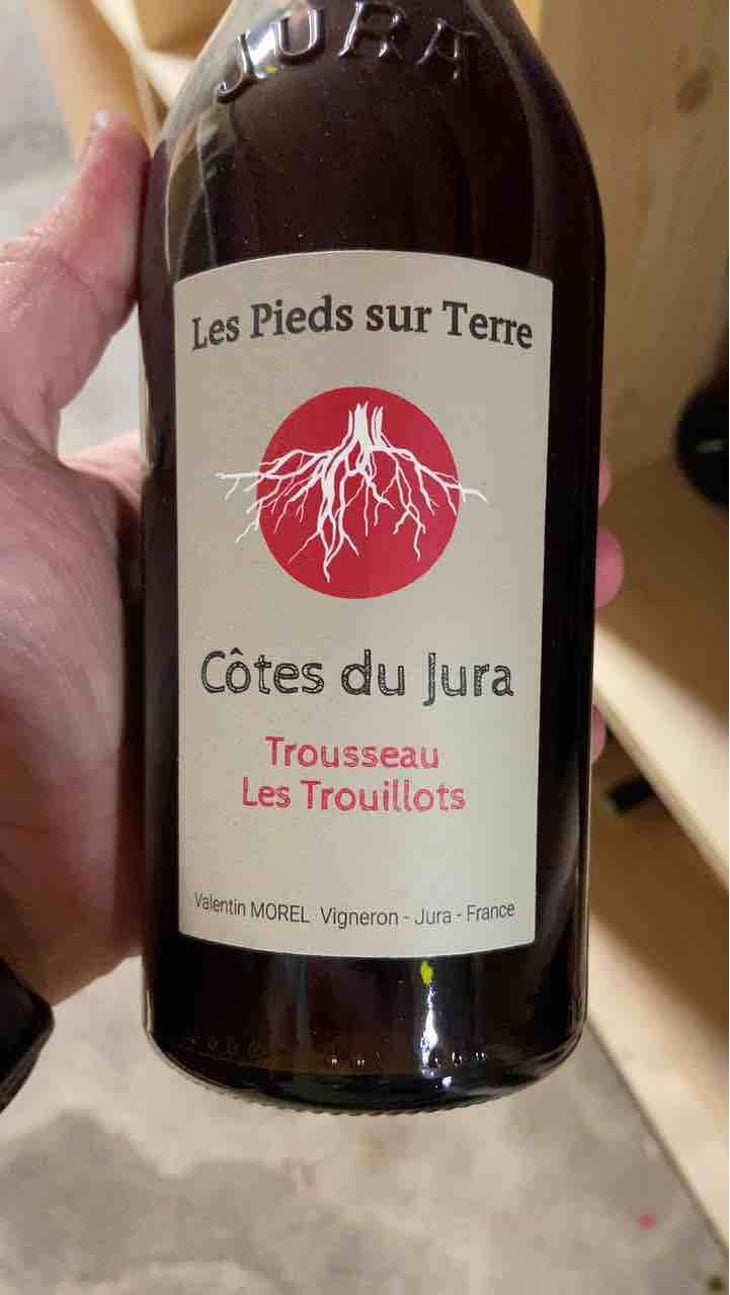 Poulsard Les Trouillots - Les Pieds Sur Terre - Valentin Morel 