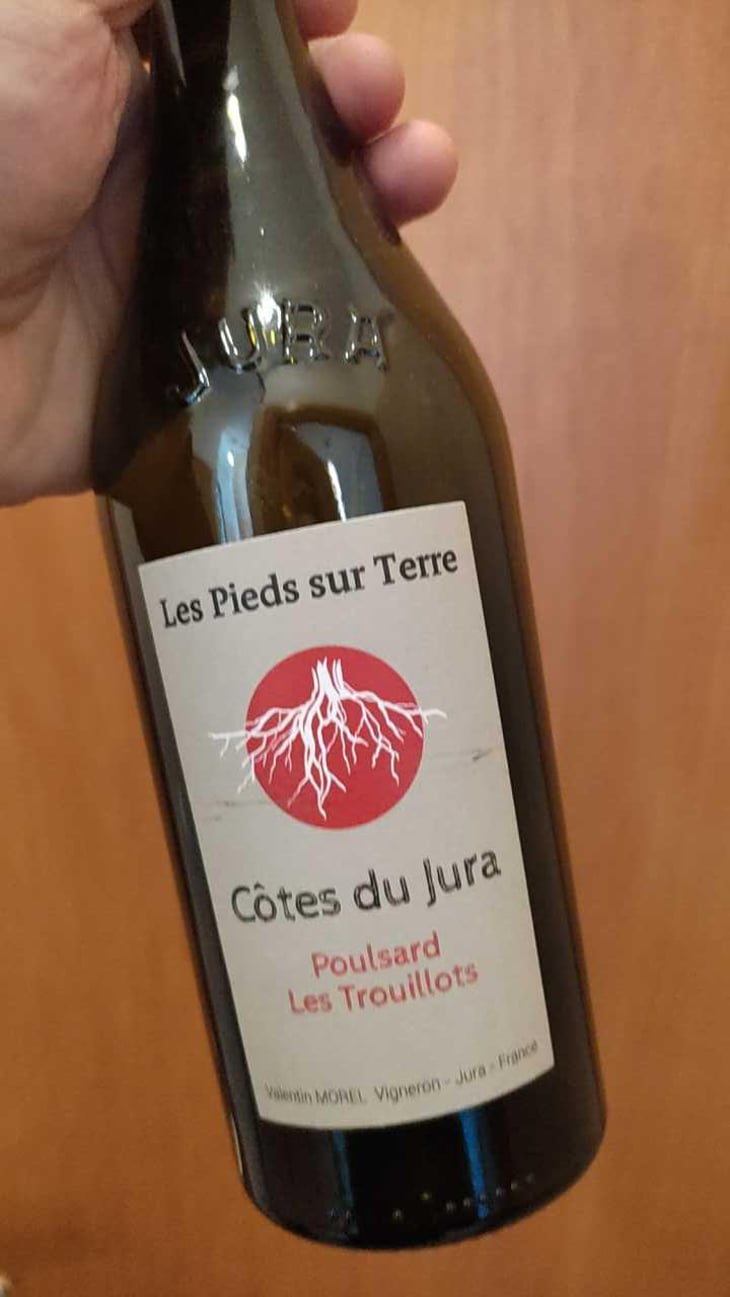 Poulsard Les Trouillots - Les Pieds Sur Terre - Valentin Morel 