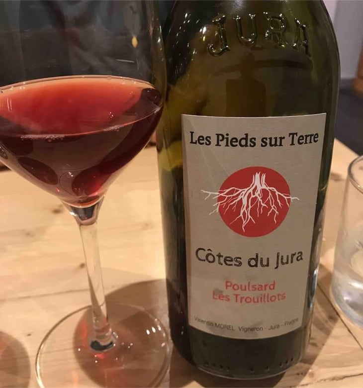 Poulsard Les Trouillots - Les Pieds Sur Terre - Valentin Morel 