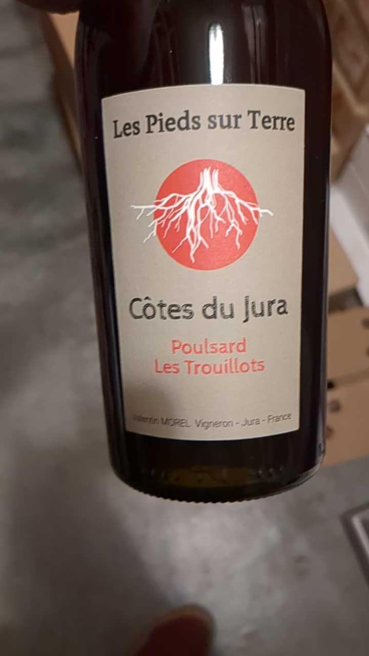Poulsard Les Trouillots - Les Pieds Sur Terre - Valentin Morel 