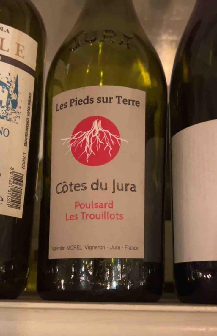 Poulsard Les Trouillots - Les Pieds Sur Terre - Valentin Morel 