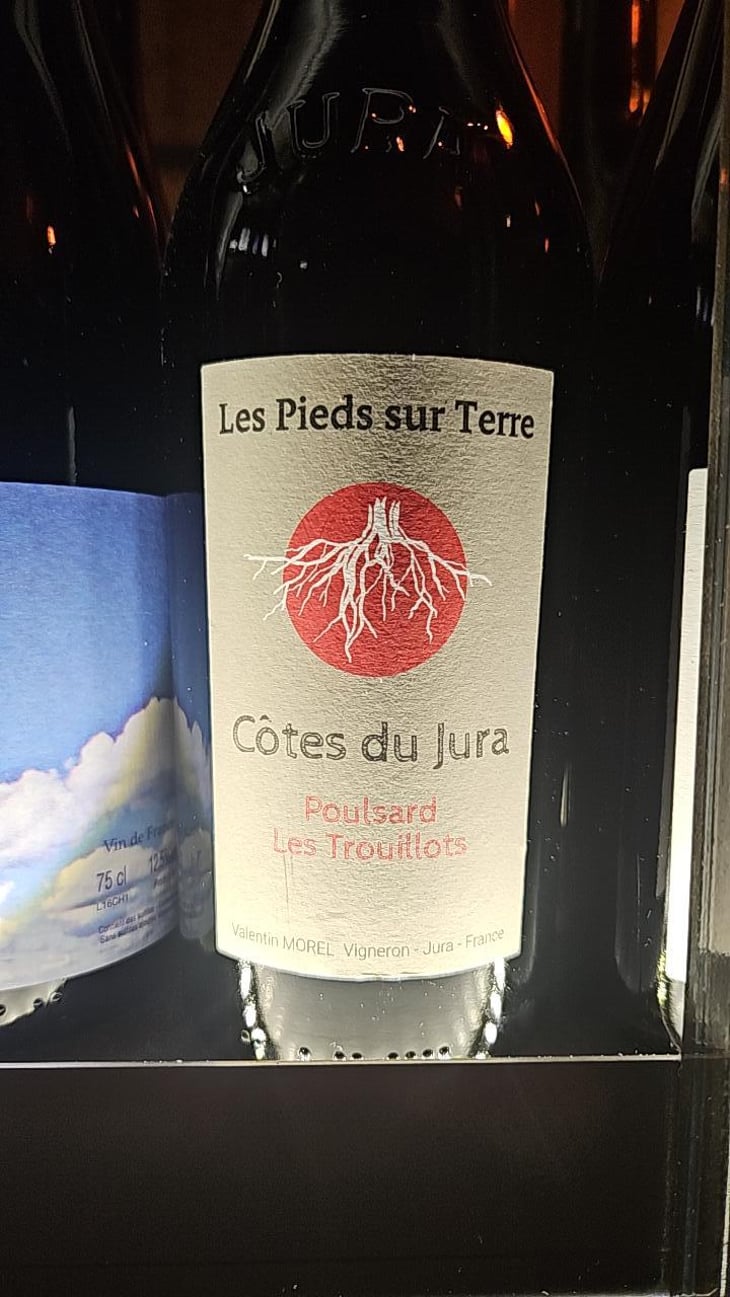 Trousseau Les Trouillots (new label) - Les Pieds Sur Terre - Valentin Morel -2022