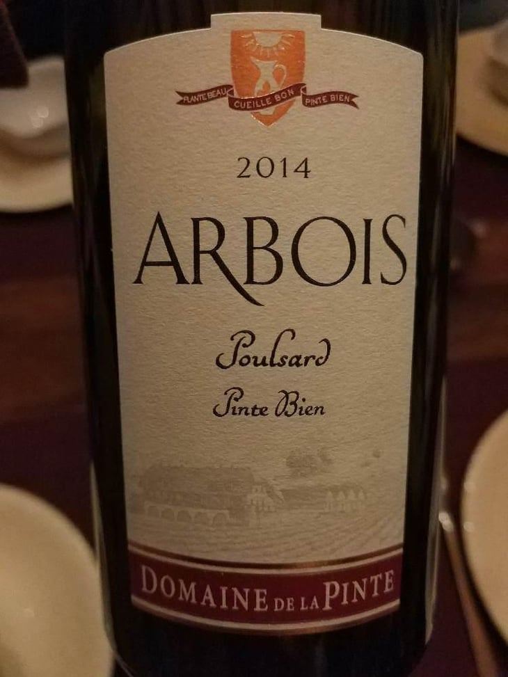 Poulsard Pinte Bien - Domaine de la Pinte - Pierre Martin 