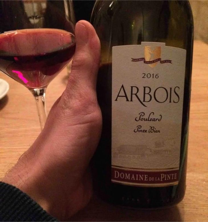 Poulsard Pinte Bien - Domaine de la Pinte - Pierre Martin 