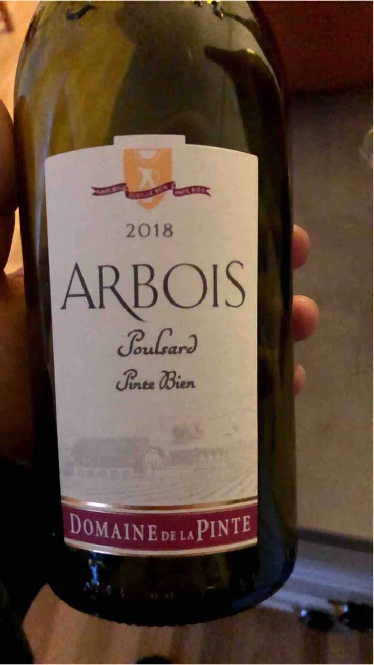 Poulsard Pinte Bien - Domaine de la Pinte - Pierre Martin 