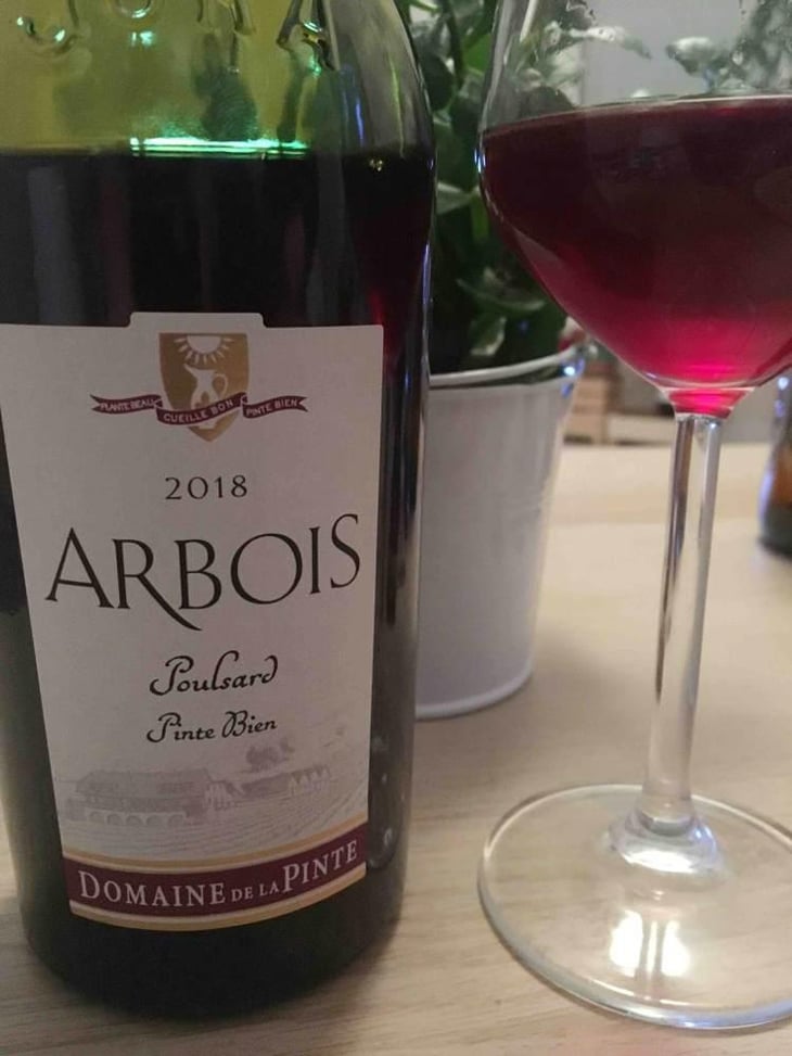 Poulsard Pinte Bien - Domaine de la Pinte - Pierre Martin 