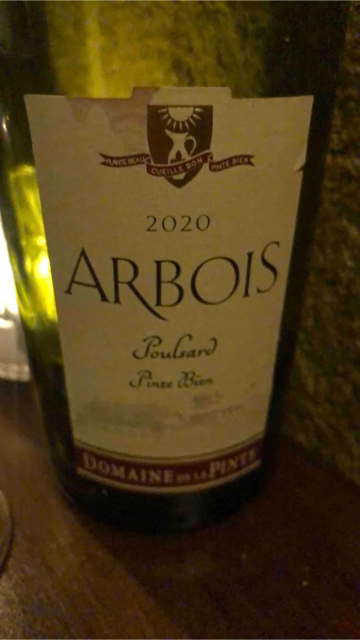 Poulsard Pinte Bien - Domaine de la Pinte - Pierre Martin 