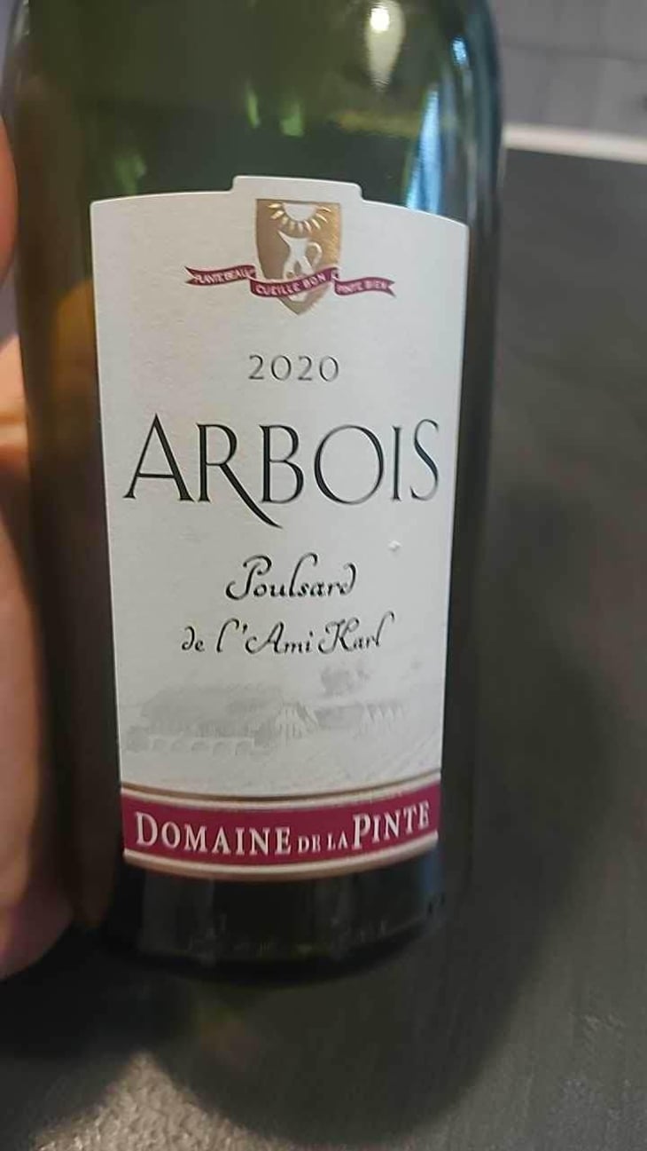 Poulsard Pinte Bien - Domaine de la Pinte - Pierre Martin 