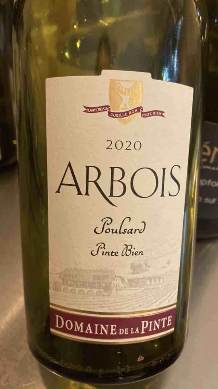 Poulsard Pinte Bien - Domaine de la Pinte - Pierre Martin 