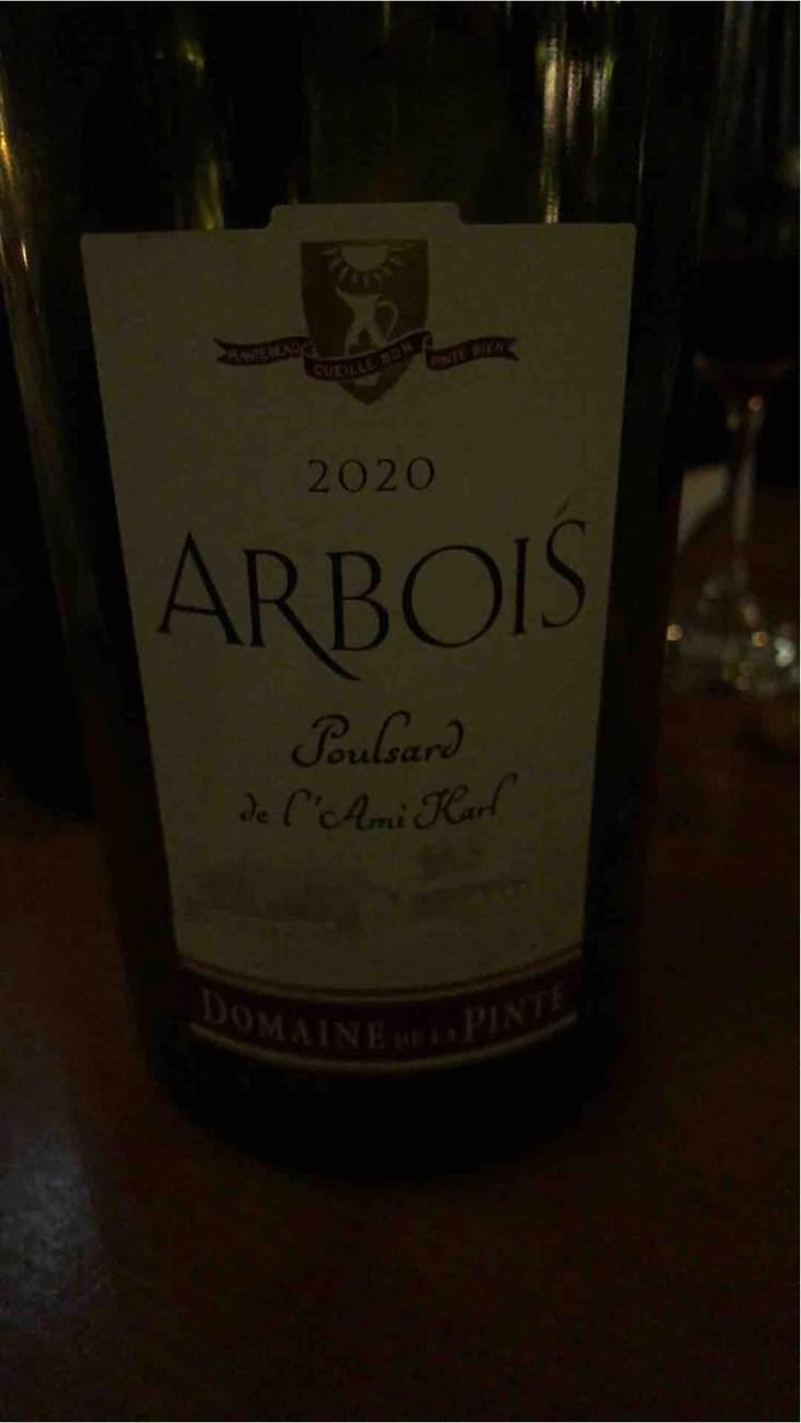 Poulsard Pinte Bien - Domaine de la Pinte - Pierre Martin 