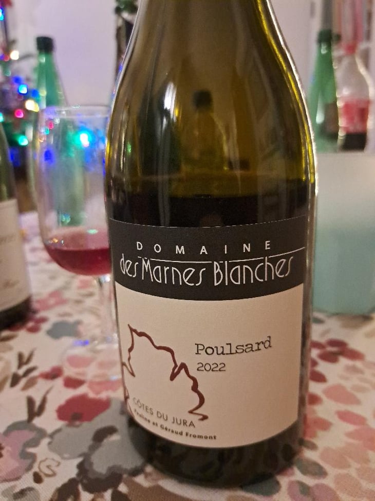 Poulsard - Domaine Des Marnes Blanches - Pauline & Géraud Fromont 