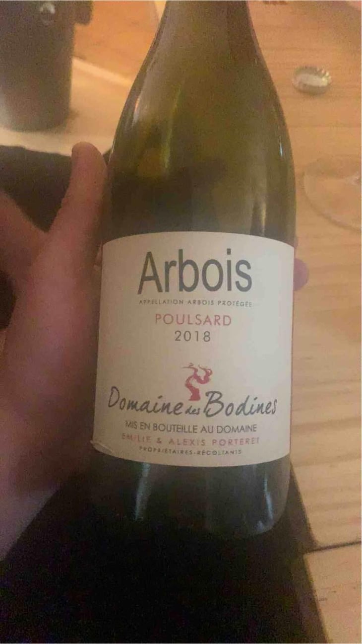 Poulsard - Domaine des Bodines - Emilie & Alexis Porteret 