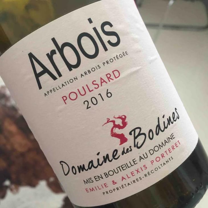 Poulsard - Domaine des Bodines - Emilie & Alexis Porteret 