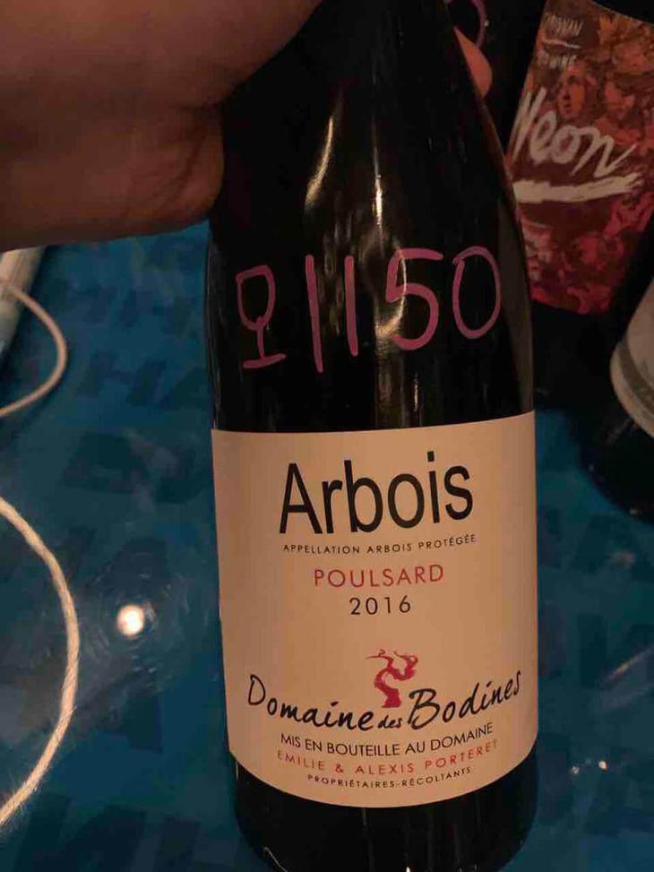 Poulsard - Domaine des Bodines - Emilie & Alexis Porteret 