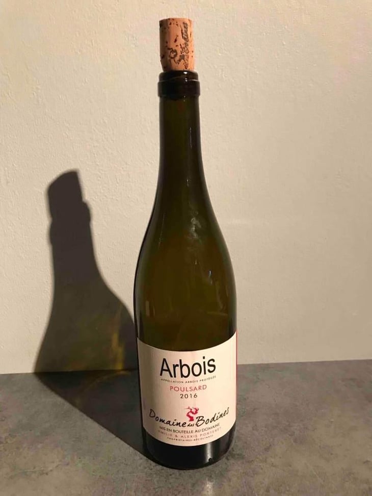 Poulsard - Domaine des Bodines - Emilie & Alexis Porteret 