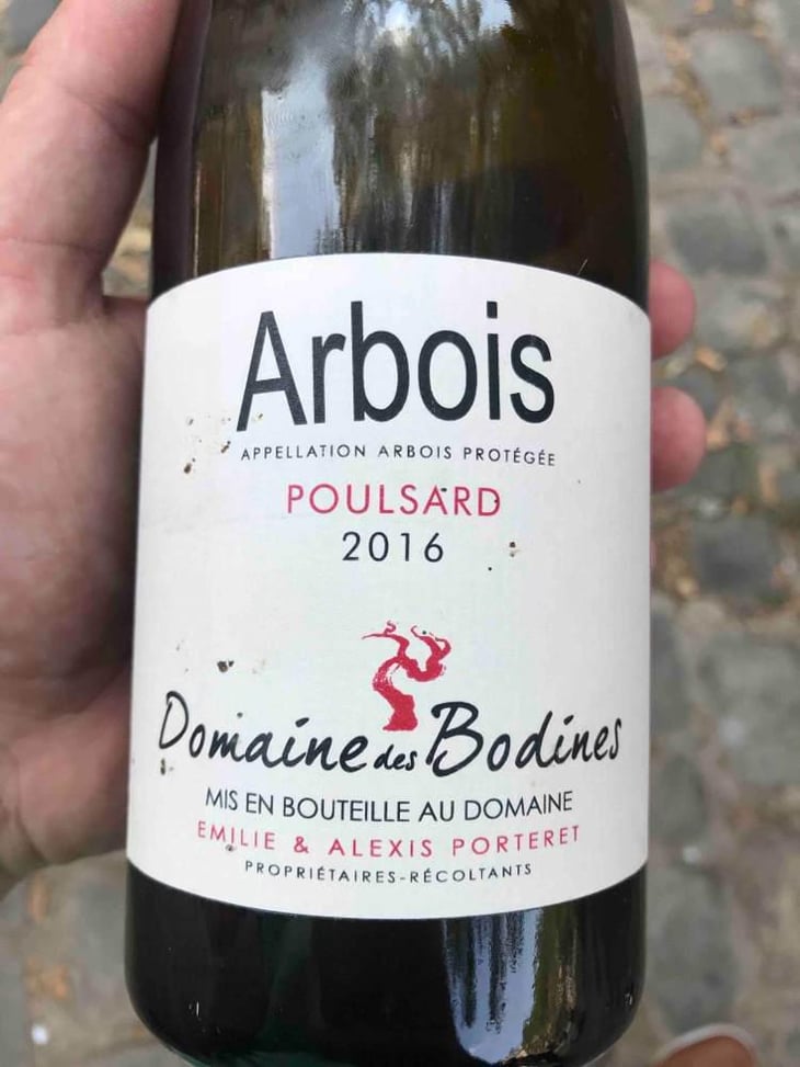 Poulsard - Domaine des Bodines - Emilie & Alexis Porteret 