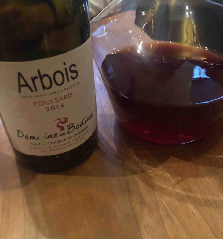 Poulsard - Domaine des Bodines - Emilie & Alexis Porteret 
