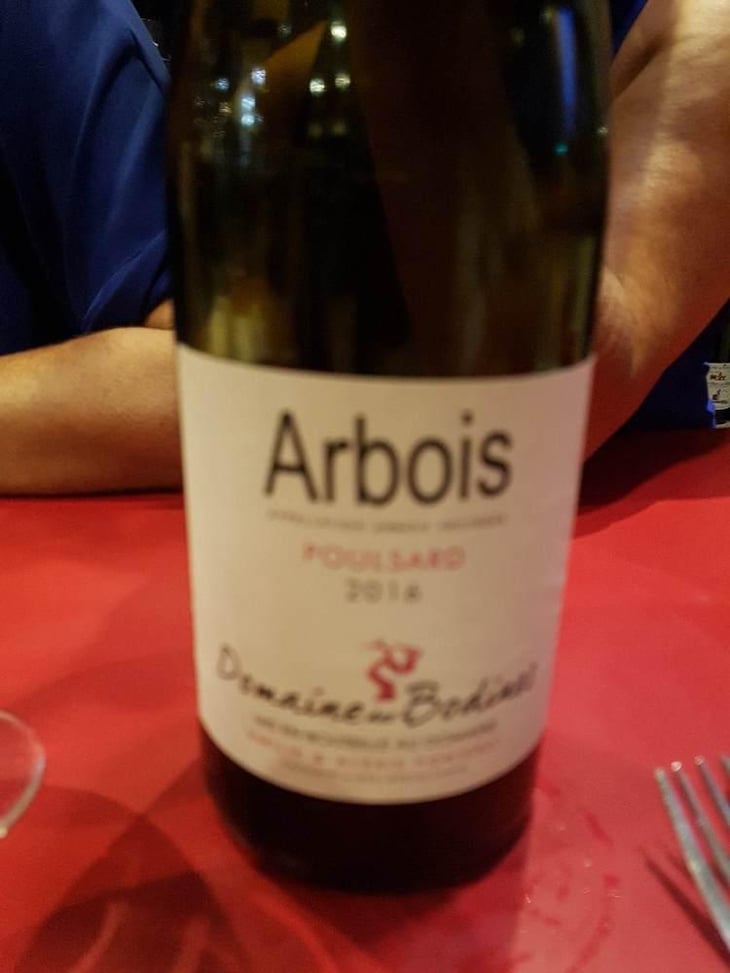 Poulsard - Domaine des Bodines - Emilie & Alexis Porteret 