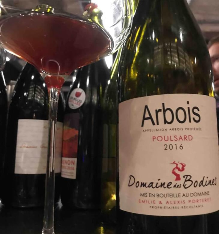 Poulsard - Domaine des Bodines - Emilie & Alexis Porteret 