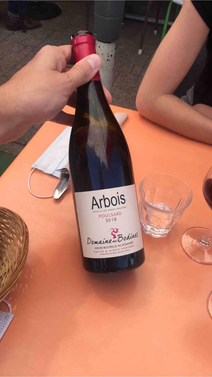 Poulsard - Domaine des Bodines - Emilie & Alexis Porteret 
