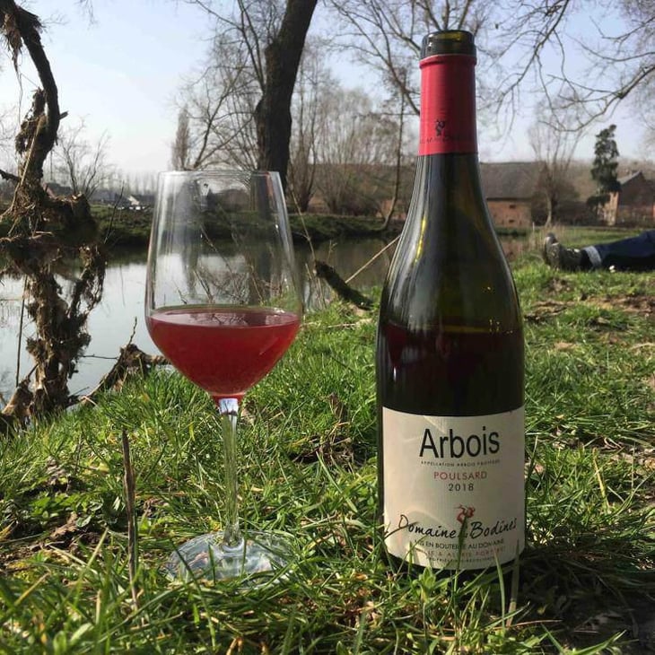 Poulsard - Domaine des Bodines - Emilie & Alexis Porteret 