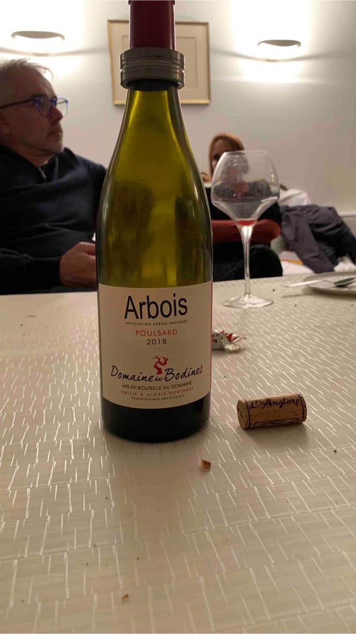 Poulsard - Domaine des Bodines - Emilie & Alexis Porteret 