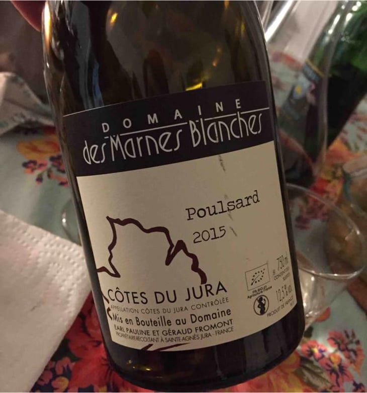 Poulsard - Domaine Des Marnes Blanches - Pauline & Géraud Fromont 