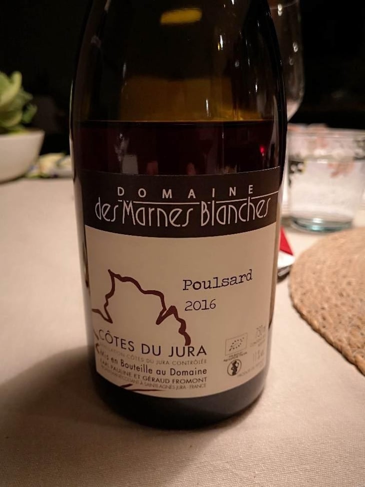 Poulsard - Domaine Des Marnes Blanches - Pauline & Géraud Fromont 