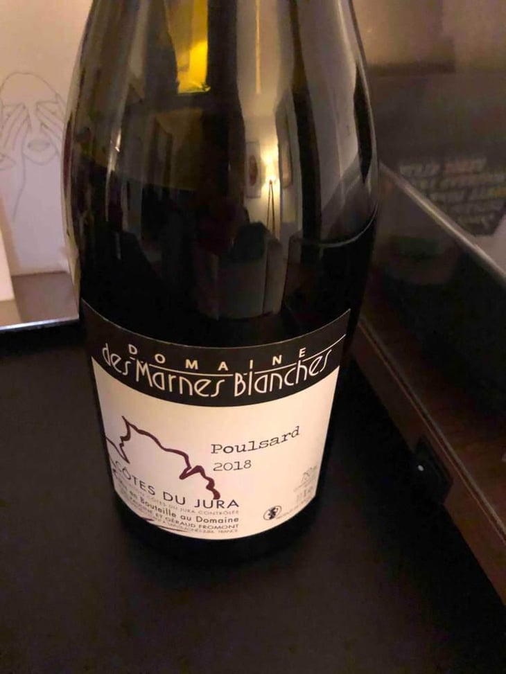 Poulsard - Domaine Des Marnes Blanches - Pauline & Géraud Fromont 