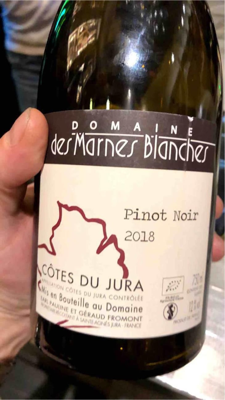 Poulsard - Domaine Des Marnes Blanches - Pauline & Géraud Fromont 