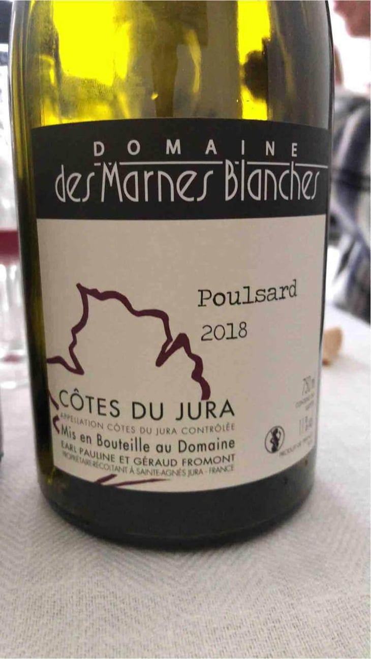 Poulsard - Domaine Des Marnes Blanches - Pauline & Géraud Fromont 