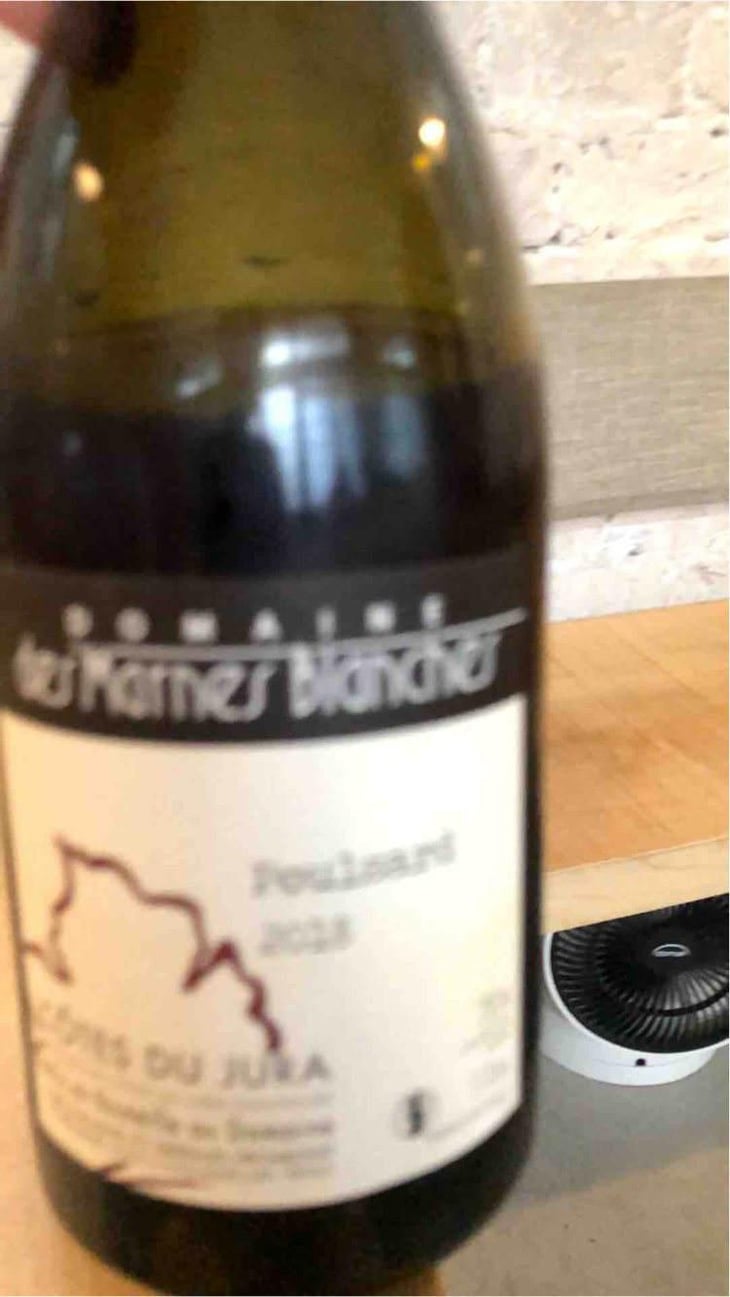 Poulsard - Domaine Des Marnes Blanches - Pauline & Géraud Fromont 