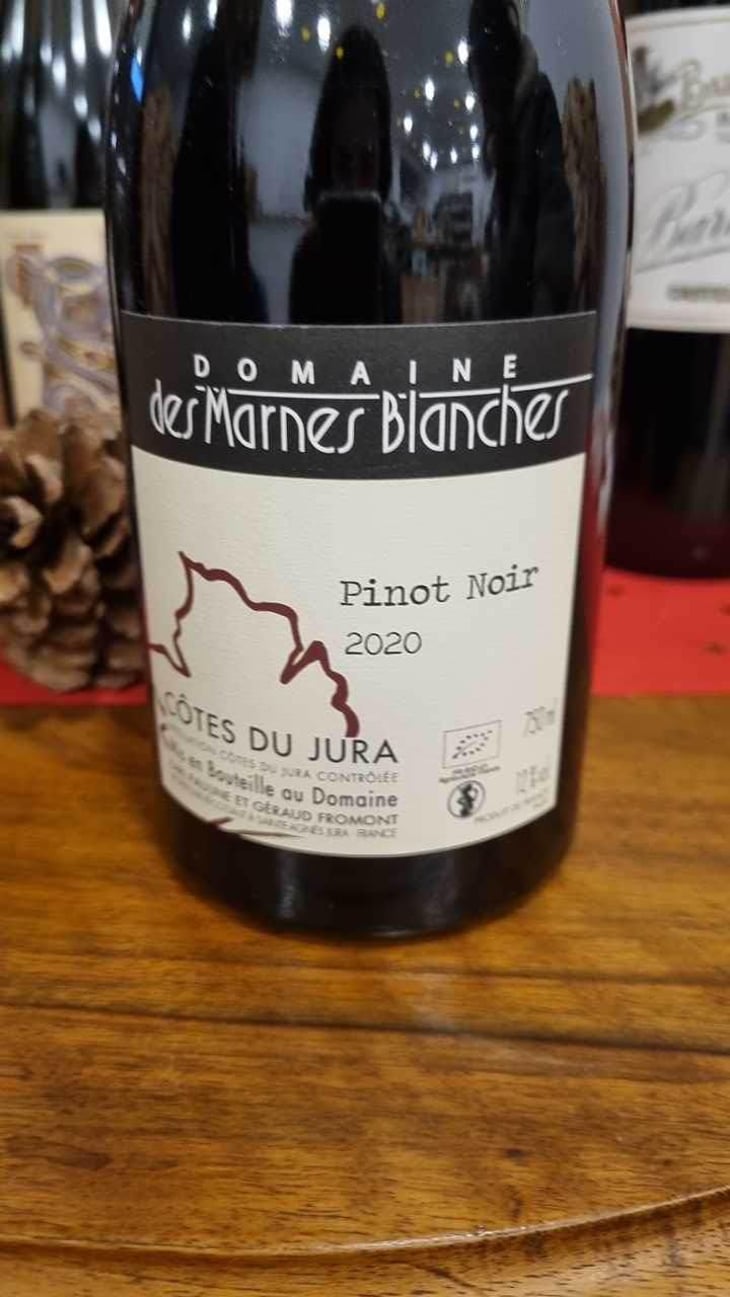 Poulsard - Domaine Des Marnes Blanches - Pauline & Géraud Fromont 