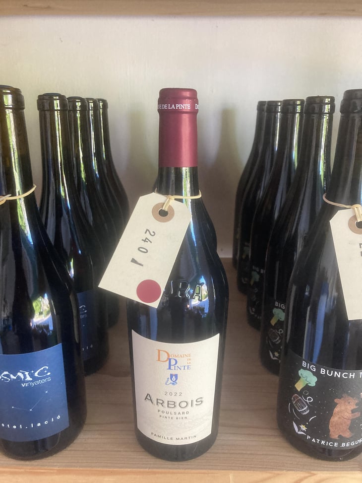 Poulsard - Domaine de la Pinte - Pierre Martin 