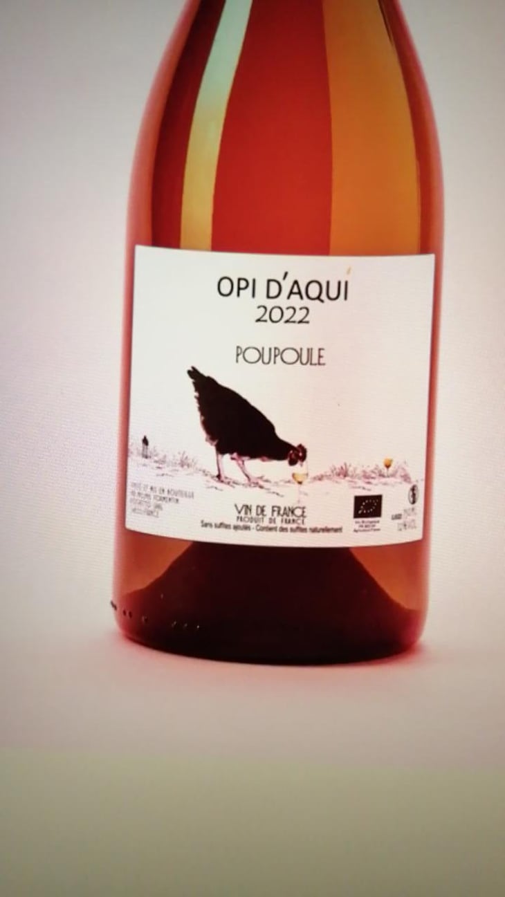 Poupoule - Opi d'Aquí - Philippe Formentin 