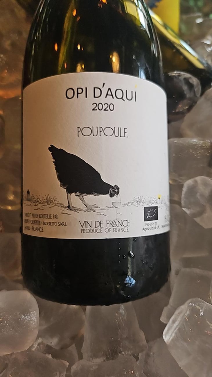 Poupoule - Opi d'Aquí - Philippe Formentin 