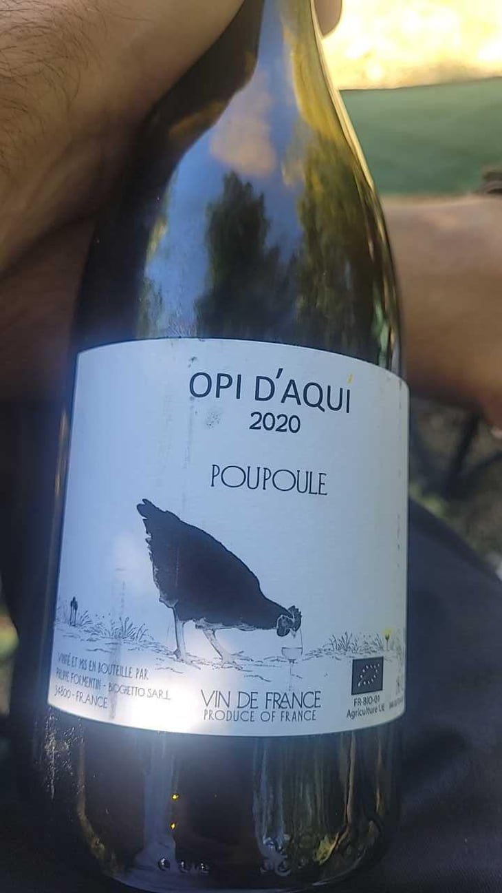 Poupoule - Opi d'Aquí - Philippe Formentin 